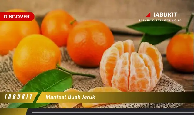 Ketahui 7 Manfaat Buah Jeruk Yang Jarang Diketahui - Discover