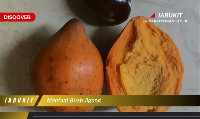 manfaat buah jigong