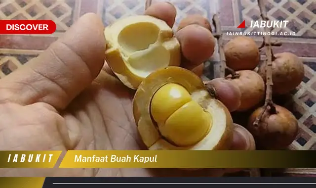 manfaat buah kapul