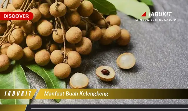 manfaat buah kelengkeng