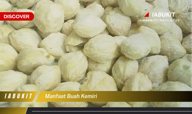 manfaat buah kemiri