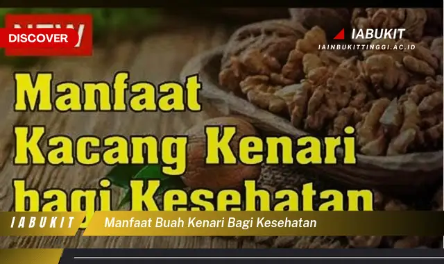 manfaat buah kenari bagi kesehatan