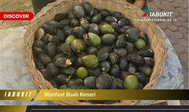 manfaat buah kenari