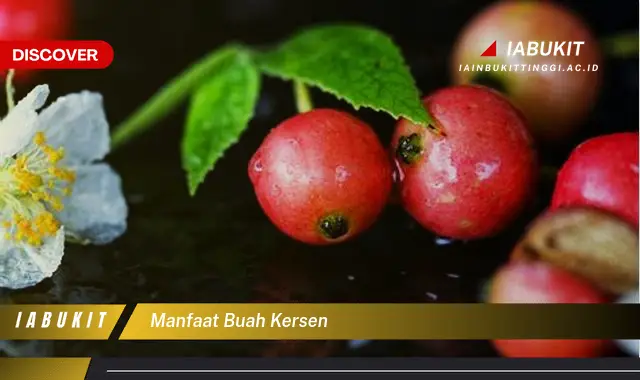 manfaat buah kersen