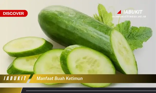 manfaat buah ketimun