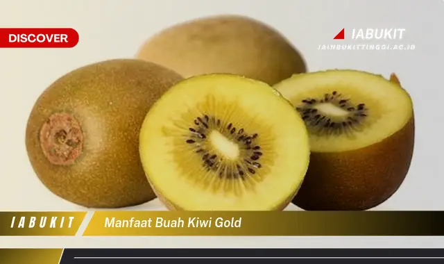 manfaat buah kiwi gold