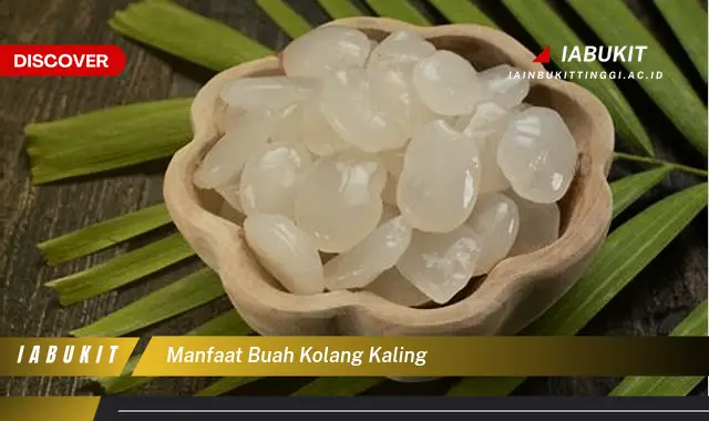 manfaat buah kolang kaling