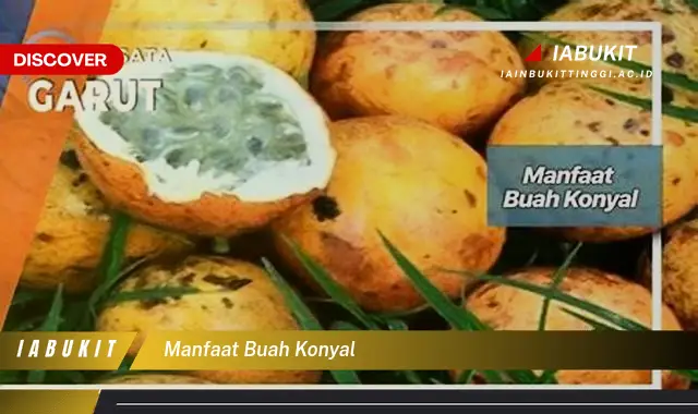 manfaat buah konyal