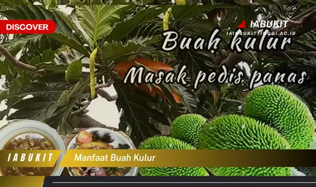 manfaat buah kulur