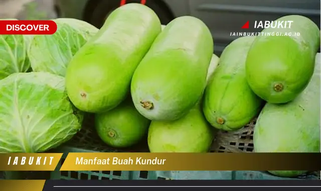 manfaat buah kundur