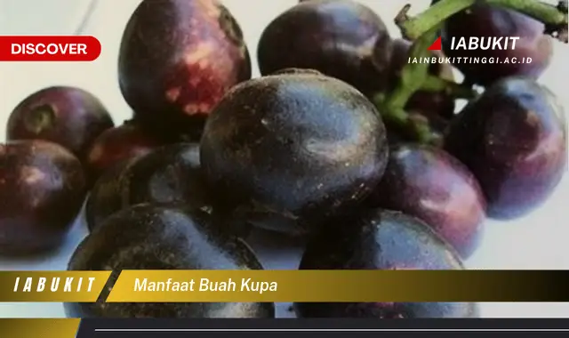 manfaat buah kupa