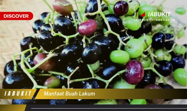 manfaat buah lakum