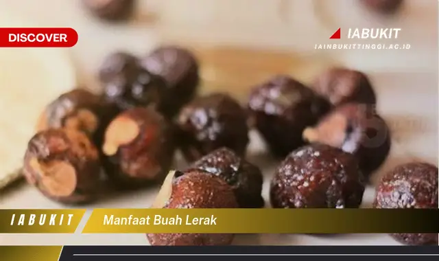 manfaat buah lerak