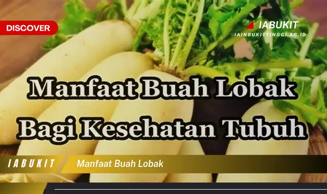 manfaat buah lobak