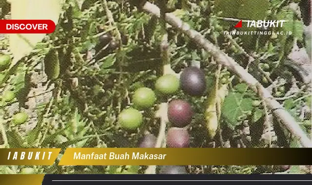 manfaat buah makasar