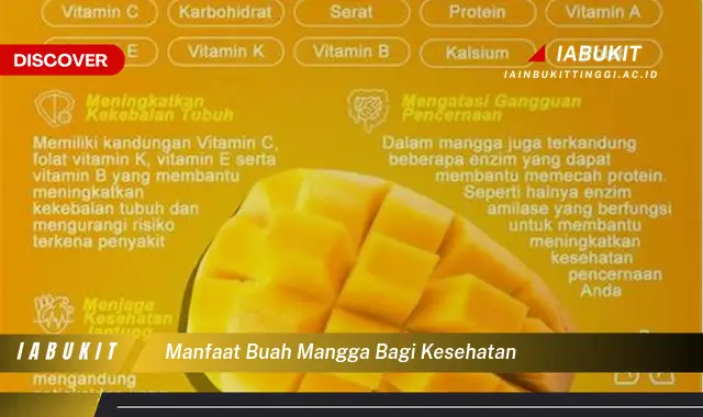 manfaat buah mangga bagi kesehatan