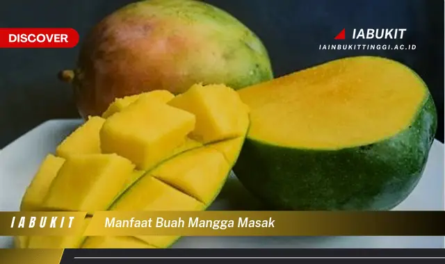 manfaat buah mangga masak