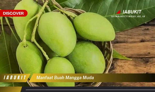 manfaat buah mangga muda