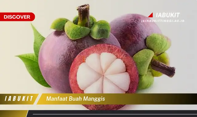 manfaat buah manggis