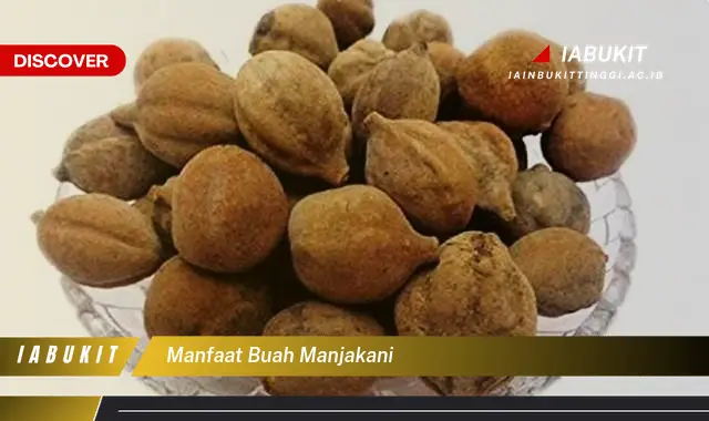 manfaat buah manjakani