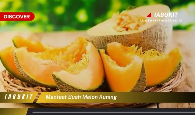 manfaat buah melon kuning