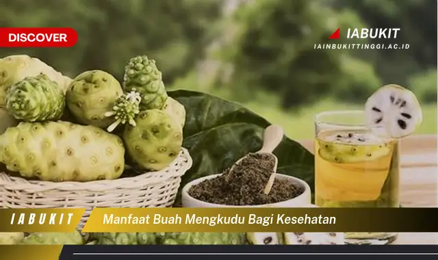 manfaat buah mengkudu bagi kesehatan