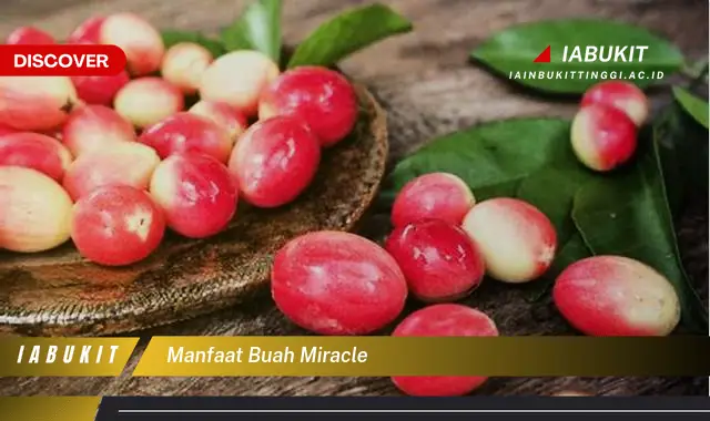 Bukan cuma kurma, Ketahui 7 Manfaat buah miracle yang Jarang Diketahui