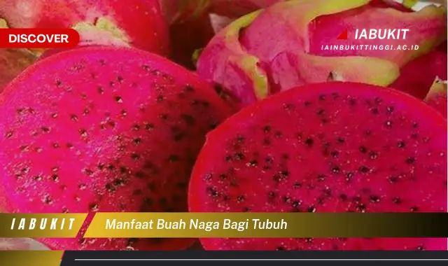 Temukan 7 Manfaat Buah Naga yang Jarang Diketahui, Bikin Kamu Penasaran!