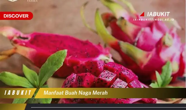 manfaat buah naga merah