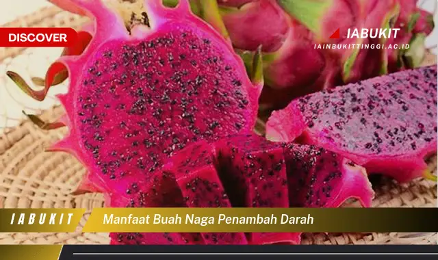 manfaat buah naga penambah darah