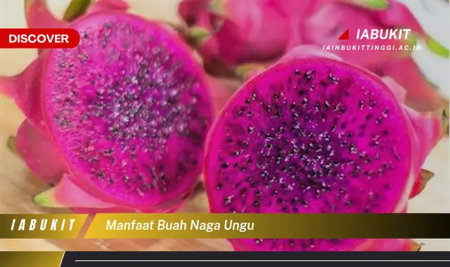 manfaat buah naga ungu