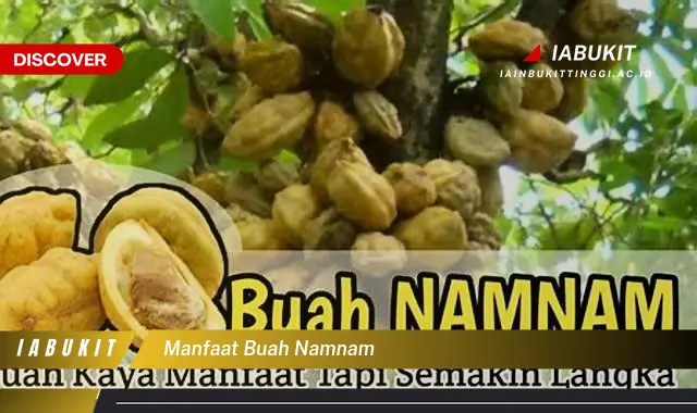 manfaat buah namnam