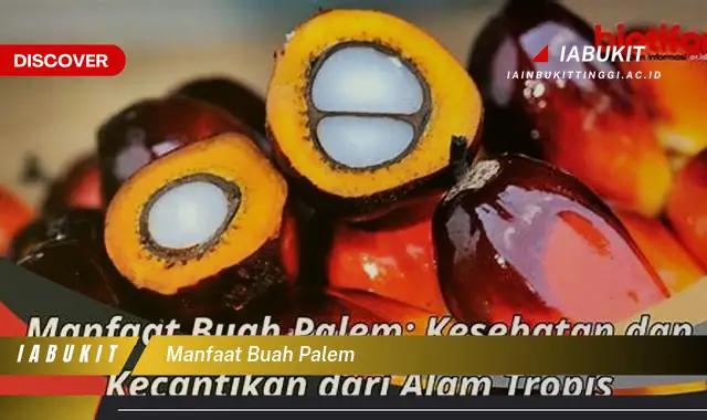 Bukan cuma daun kurma, Ketahui 7 Manfaat buah palem yang Bikin Penasaran