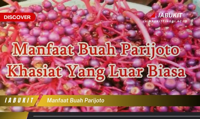 manfaat buah parijoto