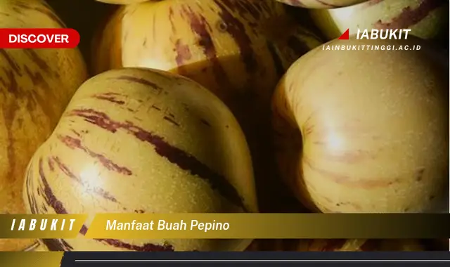 manfaat buah pepino