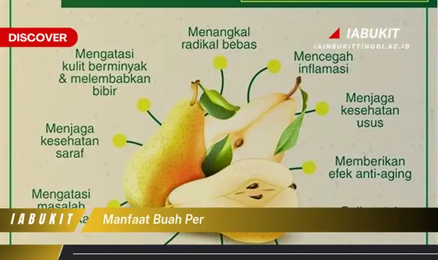 manfaat buah per