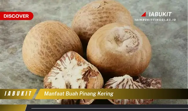 manfaat buah pinang kering