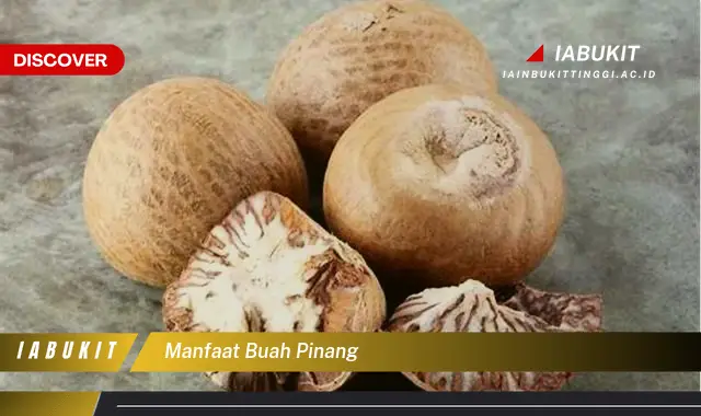 manfaat buah pinang