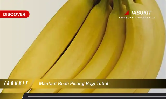 manfaat buah pisang bagi tubuh