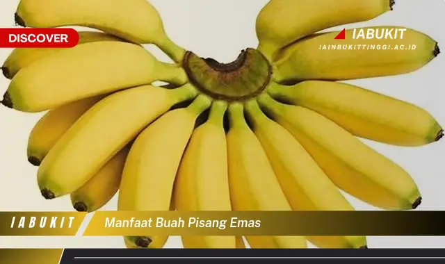 manfaat buah pisang emas