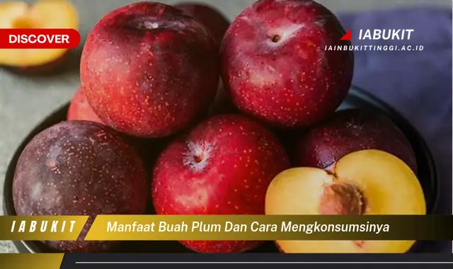 manfaat buah plum dan cara mengkonsumsinya