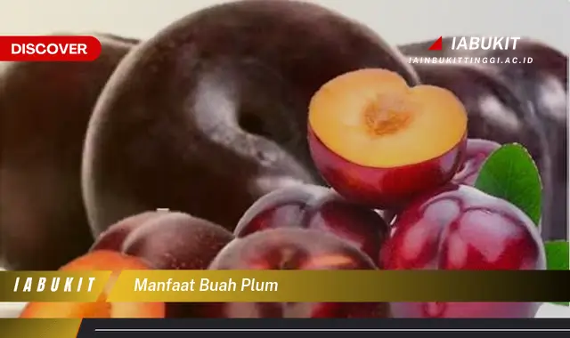 Ketahui 7 Manfaat Buah Plum Jarang Diketahui yang Bikin Kamu Penasaran