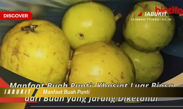 Bukan cuma daun jambu, Ketahui 7 Manfaat buah punti yang Bikin Penasaran