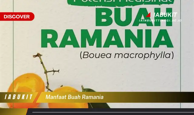 manfaat buah ramania