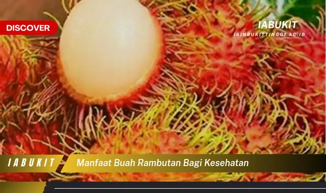 manfaat buah rambutan bagi kesehatan