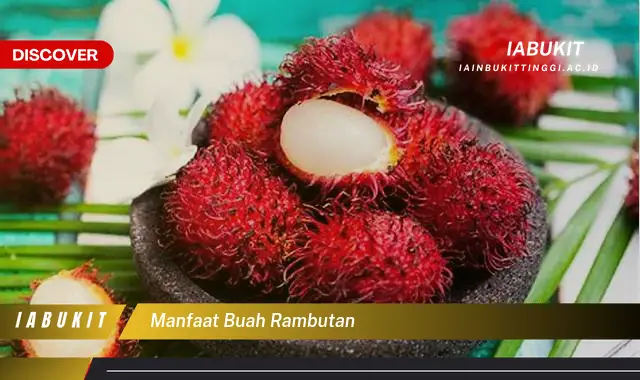 manfaat buah rambutan