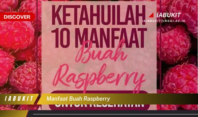 manfaat buah raspberry