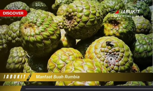 manfaat buah rumbia