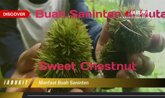 manfaat buah saninten