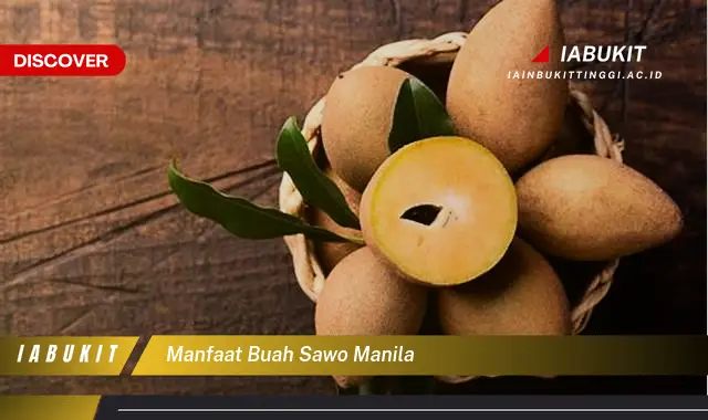 manfaat buah sawo manila